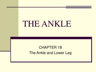 THE ANKLE