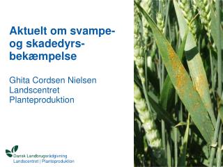 Aktuelt om svampe- og skadedyrs-bekæmpelse Ghita Cordsen Nielsen Landscentret Planteproduktion