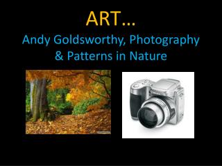 ART… Andy Goldsworthy, Photography &amp; Patterns in Nature