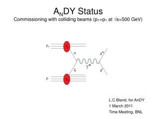 A N DY Status Commissioning with colliding beams (p  +p  at s=500 GeV)