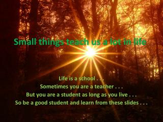 Small things teach us a lot in life