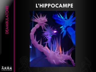 L’HIPPOCAMPE