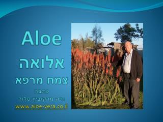 Aloe אלואה צמח מרפא כתבה חיה מרקוביץ סלור aloe-vera.co.il