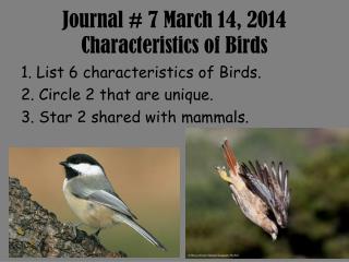 Journal # 7 March 14, 2014 Characteristics of Birds