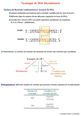 Tecnologia do DNA Recombinante