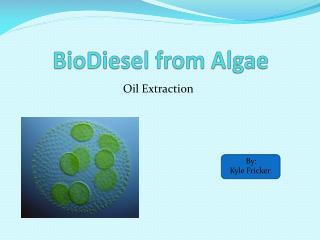 BioDiesel from Algae