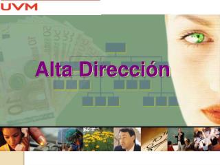 Alta Dirección