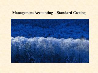 Management Accounting – Standard Costing