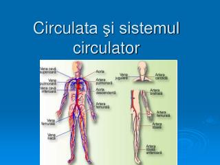 Circula ta şi sistemul circulator