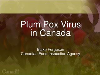 Plum Pox Virus in Canada Blake Ferguson Canadian Food Inspection Agency