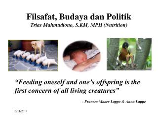 Filsafat, Budaya dan Politik Trias Mahmudiono, S.KM, MPH (Nutrition)