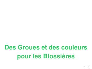 Des Groues et des couleurs pour les Blossières