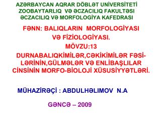 FƏNN: BALIQLARIN MORFOLOGİYASI VƏ FİZİOLOGİYASI. MÖVZU:13