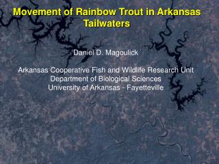 Movement of Rainbow Trout in Arkansas Tailwaters