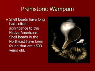 Prehistoric Wampum