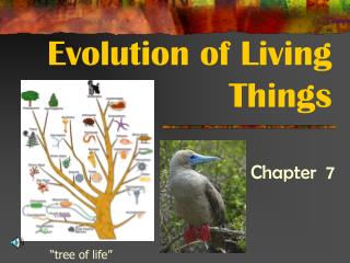 Evolution of Living Things