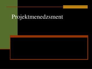 Projektmenedzsment