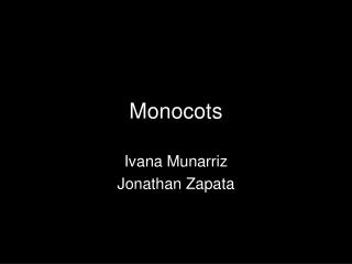 Monocots