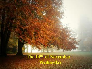 The 14 th of November Wednesday