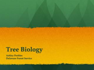 Tree Biology