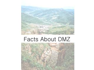 Facts About DMZ