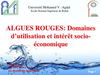 ALGUES ROUGES: Domaines d’utilisation et intérêt socio-économique