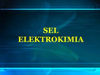 SEL ELEKTROKIMIA