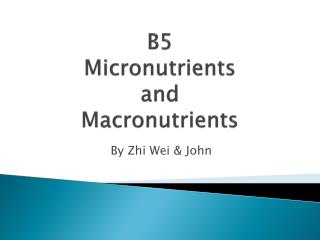 B5 Micronutrients and Macronutrients
