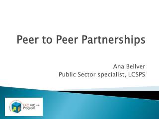 Peer to Peer Partnerships