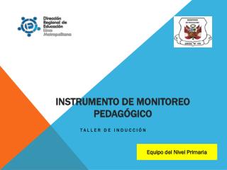 INSTRUMENTO DE MONITOREO PEDAGÓGICO