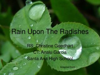 Rain Upon The Radishes