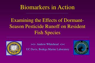 &gt;&lt;&gt; Andrew Whitehead &lt;&gt;&lt; UC Davis, Bodega Marine Laboratory