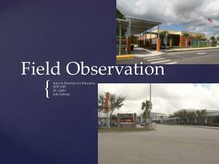 Field Observation