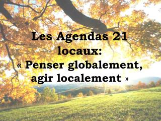 Les Agendas 21 locaux: « Penser globalement, agir localement  »
