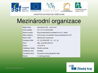 Mezinárodní organizace