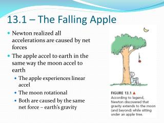 13.1 – The Falling Apple