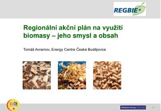 Regionální akční plán na využití biomasy – jeho smysl a obsah