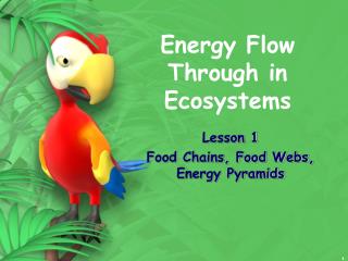 Energy Flow Through in Ecosystems