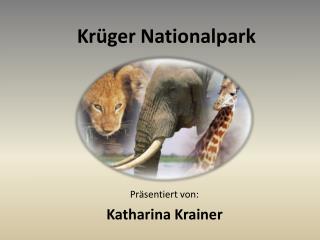 Krüger Nationalpark