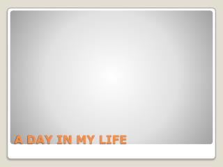 A DAY IN MY LIFE