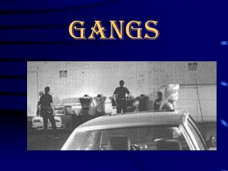 gangs