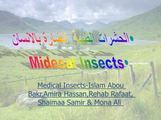 الحشرات الطبية الضارة بالانسان Midecal Insects