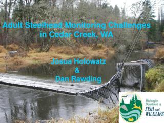 Adult Steelhead Monitoring Challenges in Cedar Creek, WA
