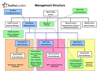 Management Structure