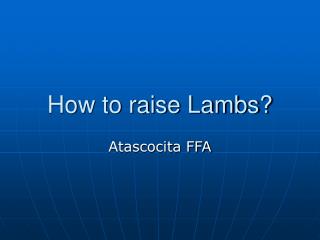 How to raise Lambs?