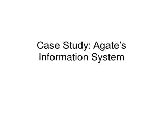 Case Study: Agate’s Information System