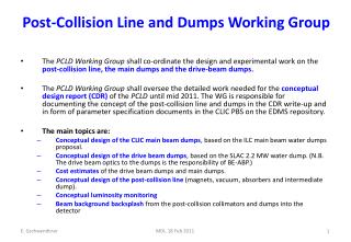Post-Collision Line and Dumps Working Group