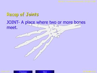 Recap of Joints JOINT- A place where two or more bones meet.