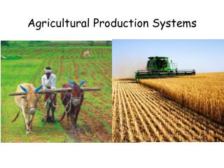Agricultural Production Systems