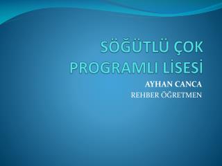 SÖĞÜTLÜ ÇOK PROGRAMLI LİSESİ